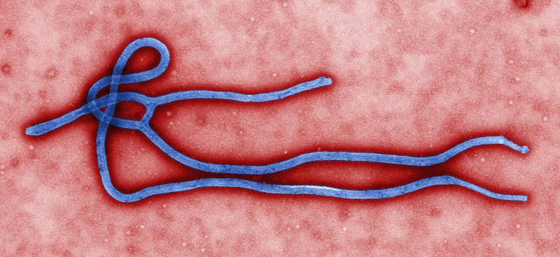 EBOLA VIRUS: What does the Bible say?